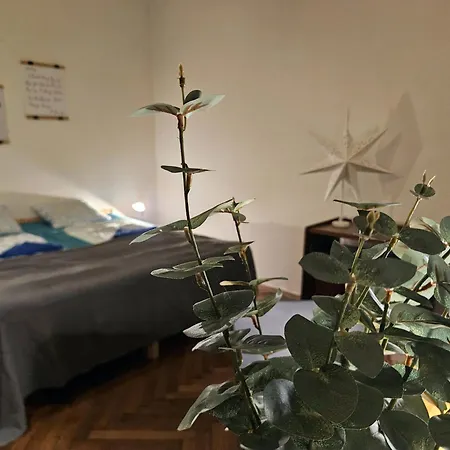 Cozy Flats Near Kazinczy Downtown * Будапешт