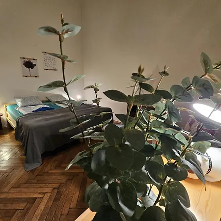 Cozy Flats Near Kazinczy Downtown Апартаменты Будапешт